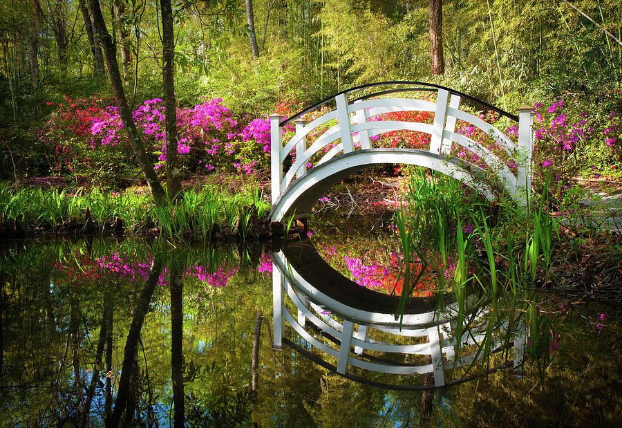 bridge in floral garden